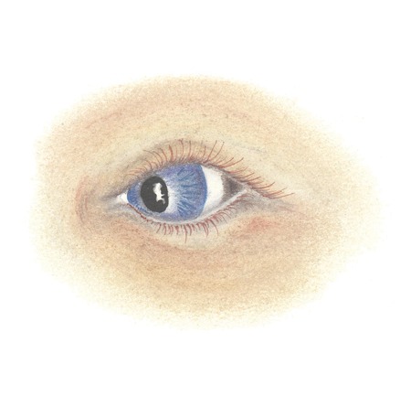 Event 25 …THE SEED Lives and is Seen! Event 25 …THE SEED Lives and is Seen!