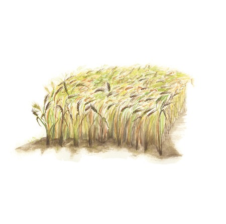 Event 27B …The Church – THE SEED Sends His HOLY SPIRIT as Promised! Event 27B …The Church – THE SEED Sends His HOLY SPIRIT as Promised!